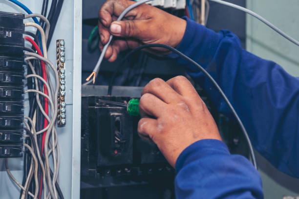 Best Generator Installation Services  in Steele Creek, AK