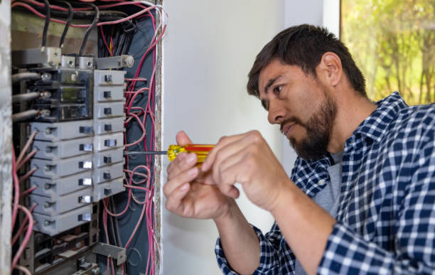 Best Electrician for Home Renovation  in Steele Creek, AK